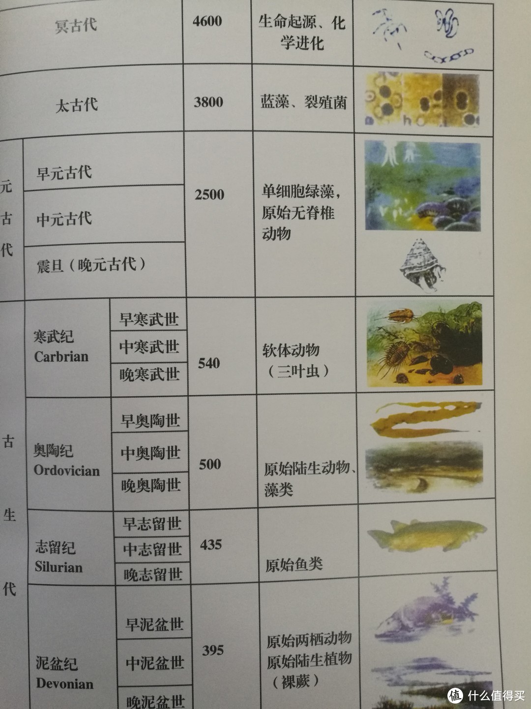 三叶虫古生物化石——迟来的奇葩物晒单