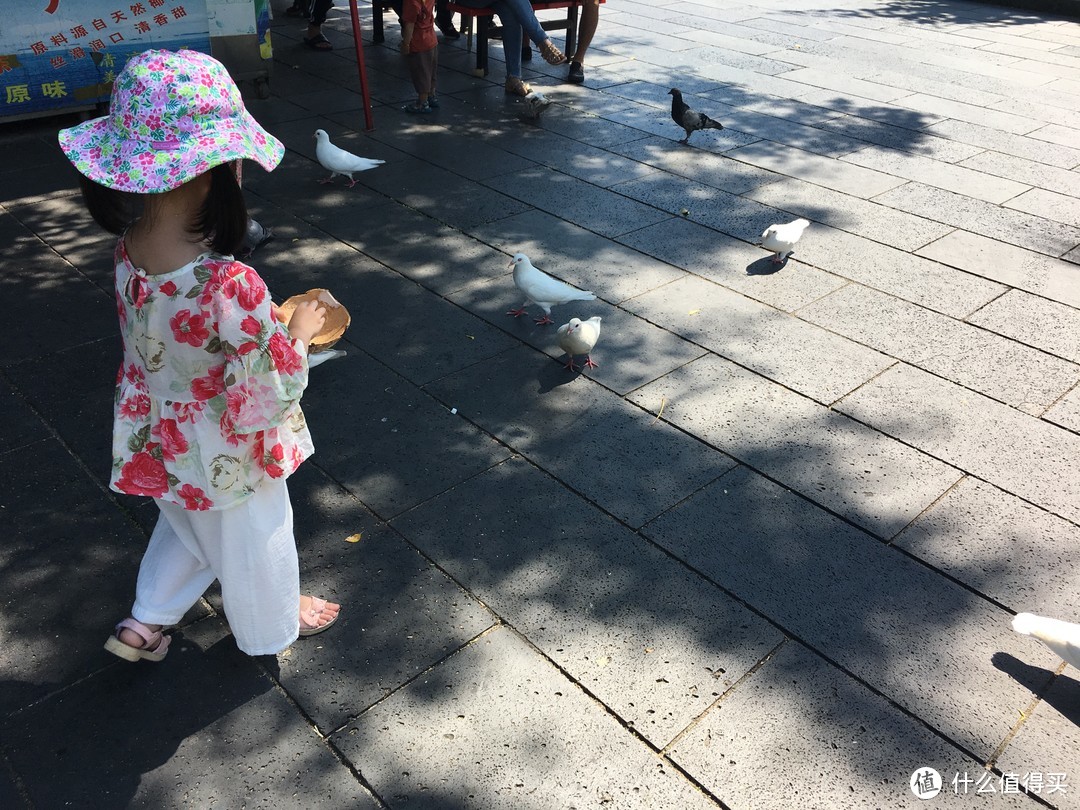 南山寺啥景点都没看，就喂了下鸽子