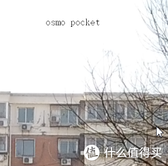 截取的部位是画面比较中间的位置，主角pocket表现如上图