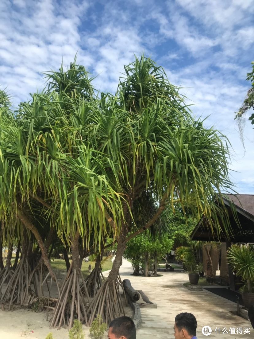 上帝的礼物，潜水的天堂—仙本那