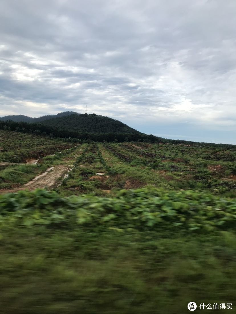 上帝的礼物，潜水的天堂—仙本那