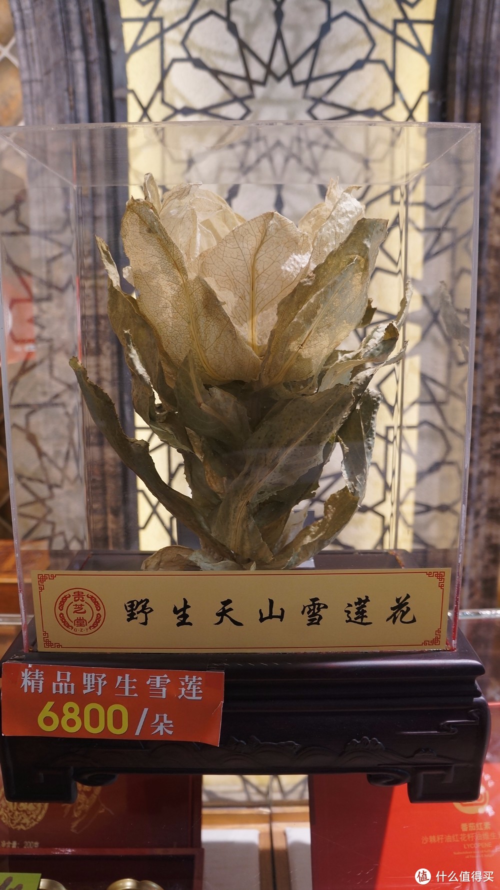 旧梦回西域，明月出天山，北疆人文风光饕餮盛宴（一）