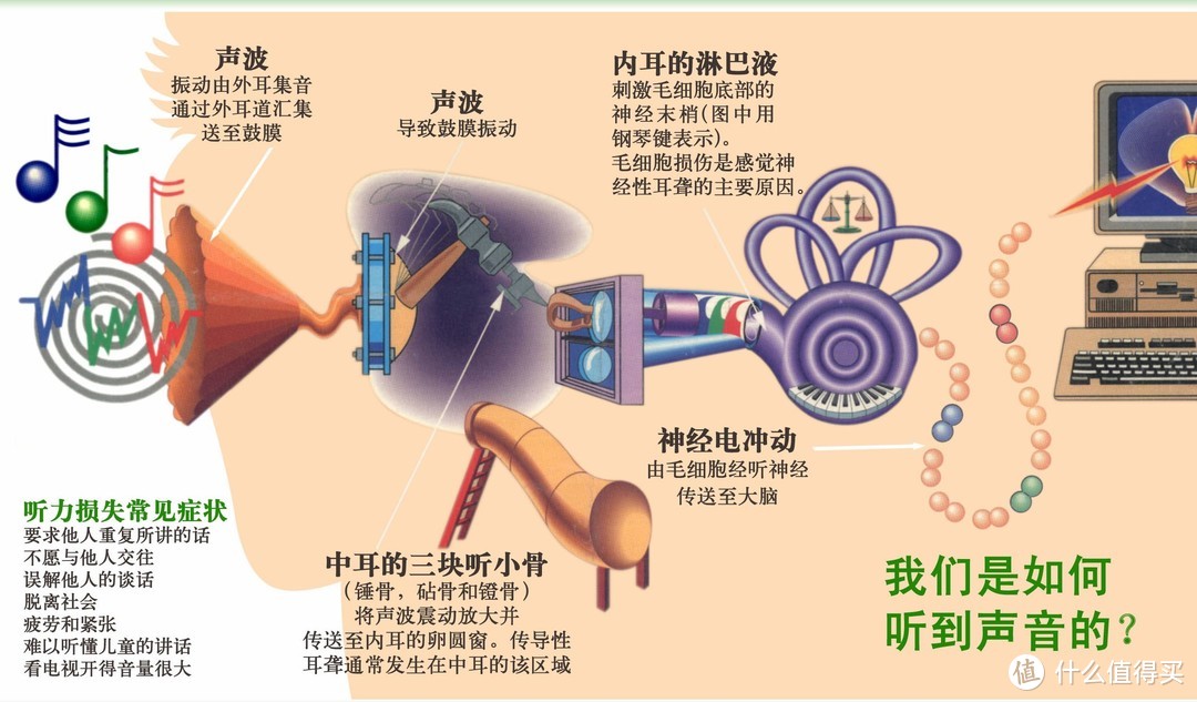 小掏怡情，大掏伤身，掏耳朵的正确打开方式（附电动掏耳勺测评）