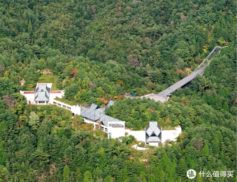 桃花源竟藏在日本深山中？因为法律问题只有20%露出地面……