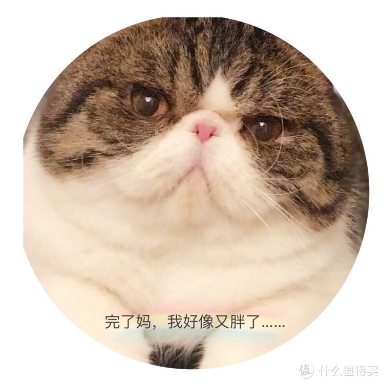 就是这只大脸🐱