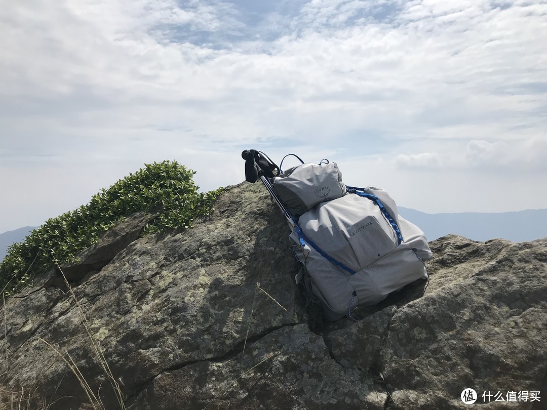 白熊在鸡公岭顶峰