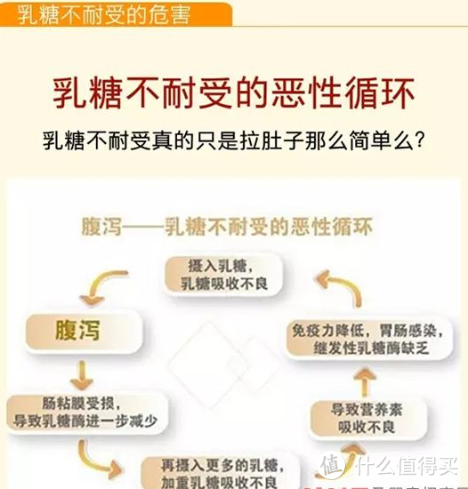 别光顾着计算卡路里了，看看糖是如何无孔不入地毁掉身体的！《一部关于糖的电影》