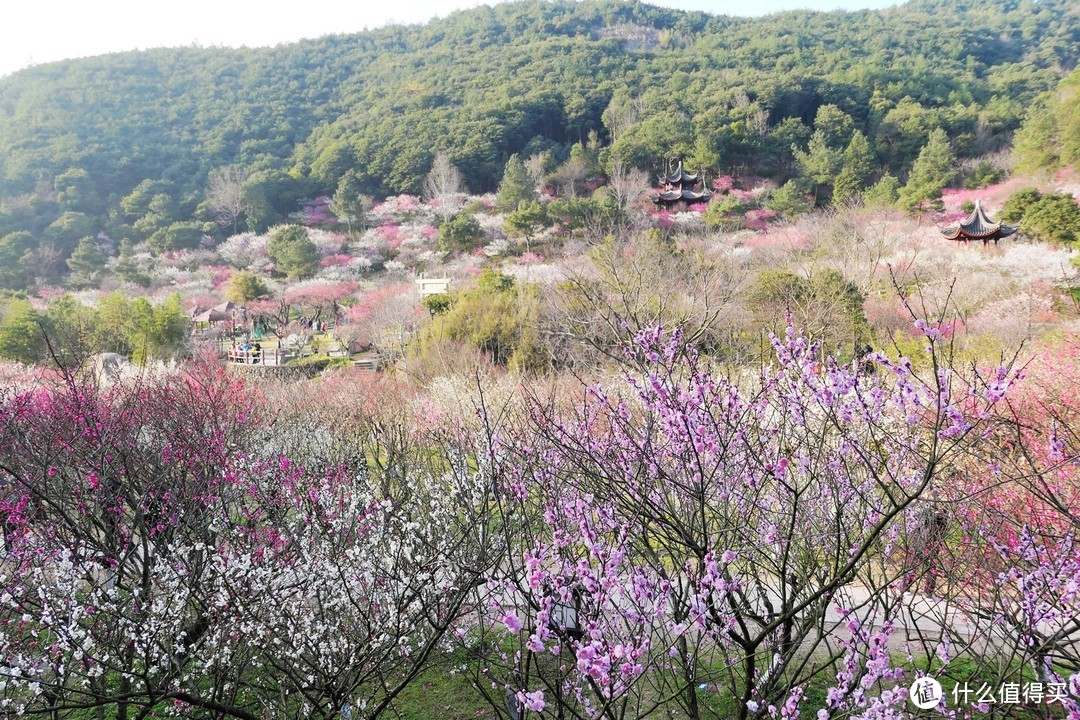 九峰山 网岙景区-宁波北仑