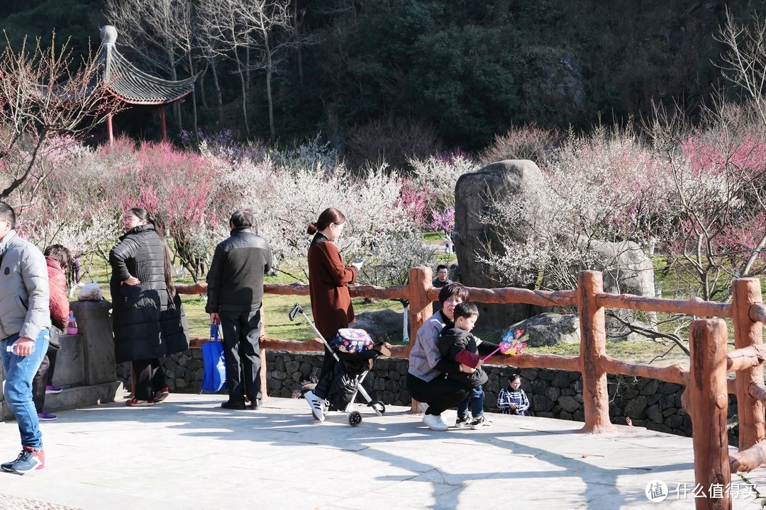 九峰山 网岙景区-宁波北仑