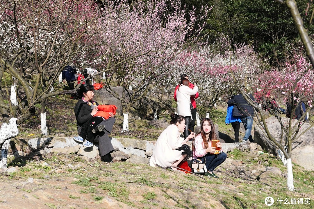 九峰山 网岙景区-宁波北仑