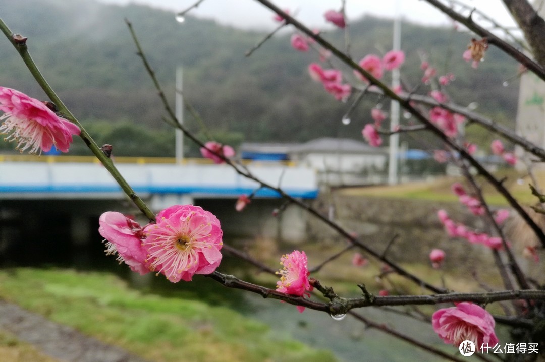 九峰山 网岙景区-宁波北仑