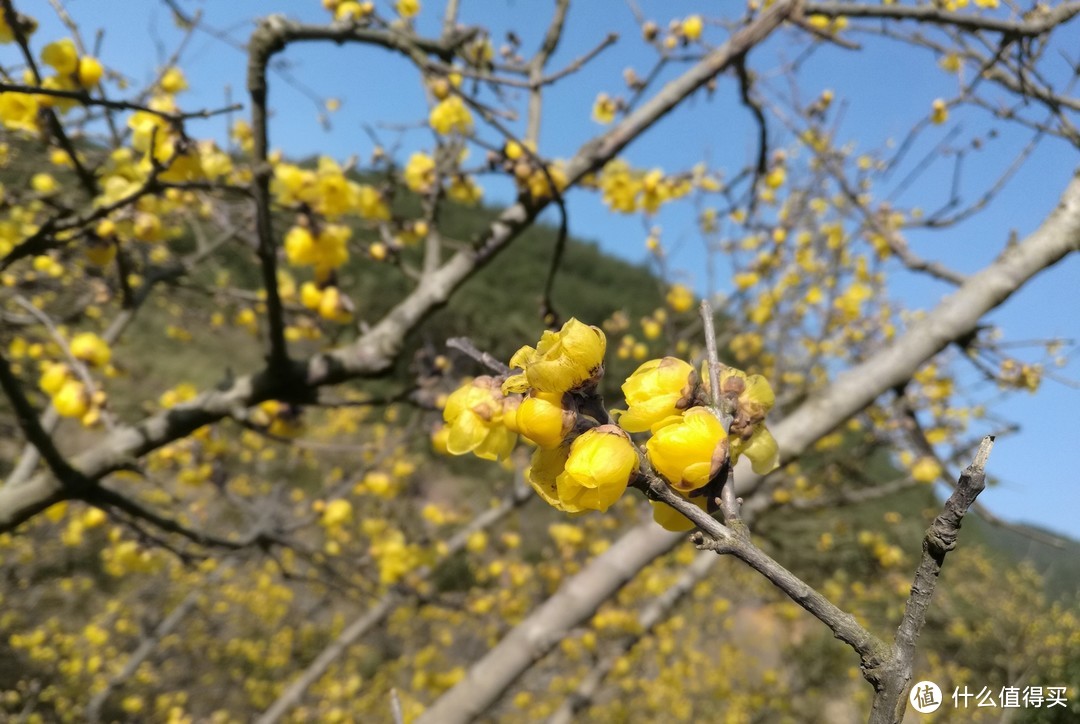 九峰山 网岙景区-宁波北仑