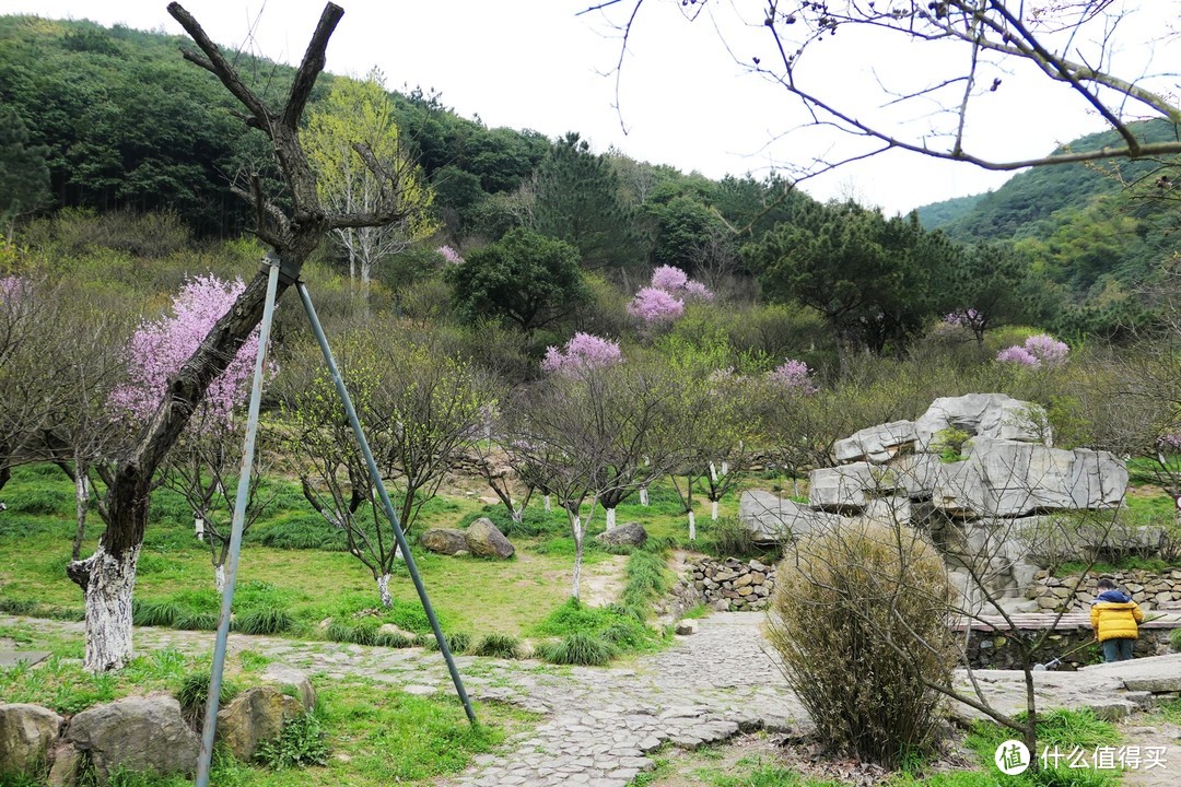 九峰山 网岙景区-宁波北仑