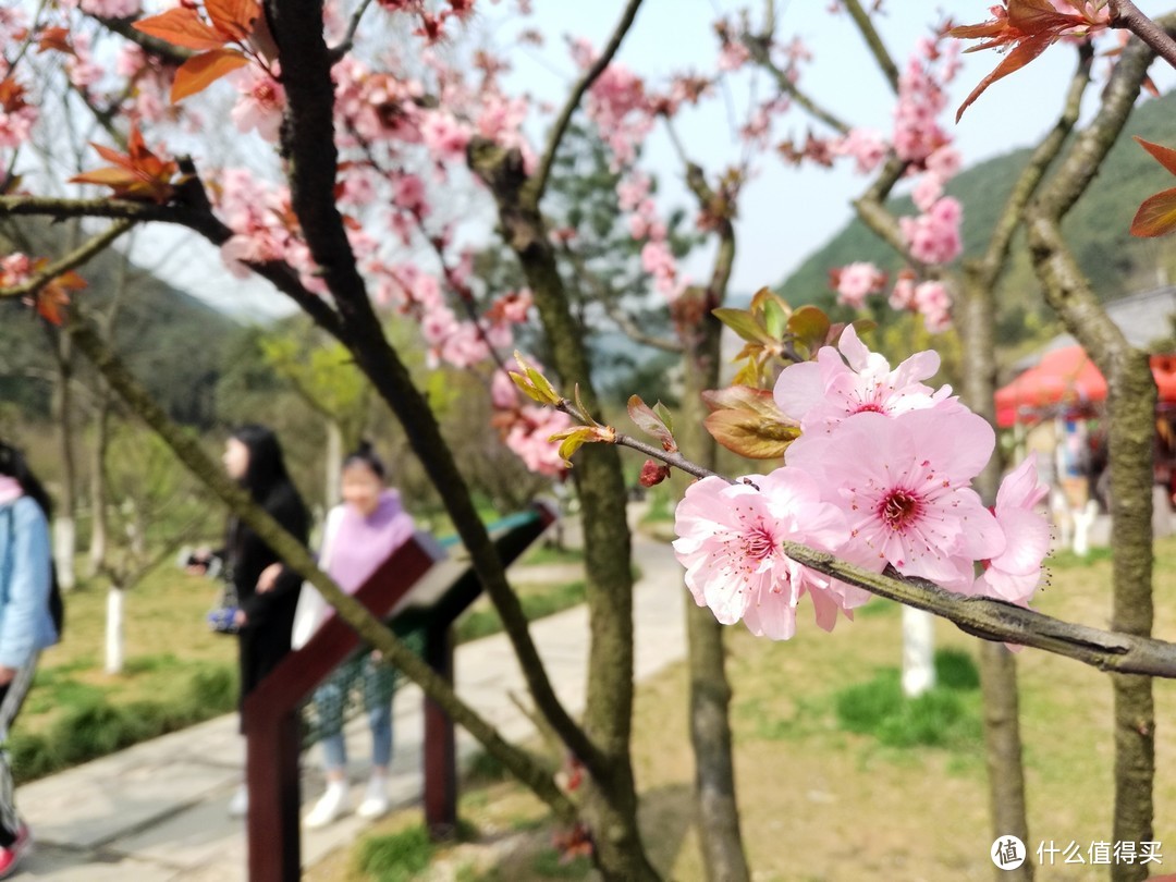 九峰山 网岙景区-宁波北仑