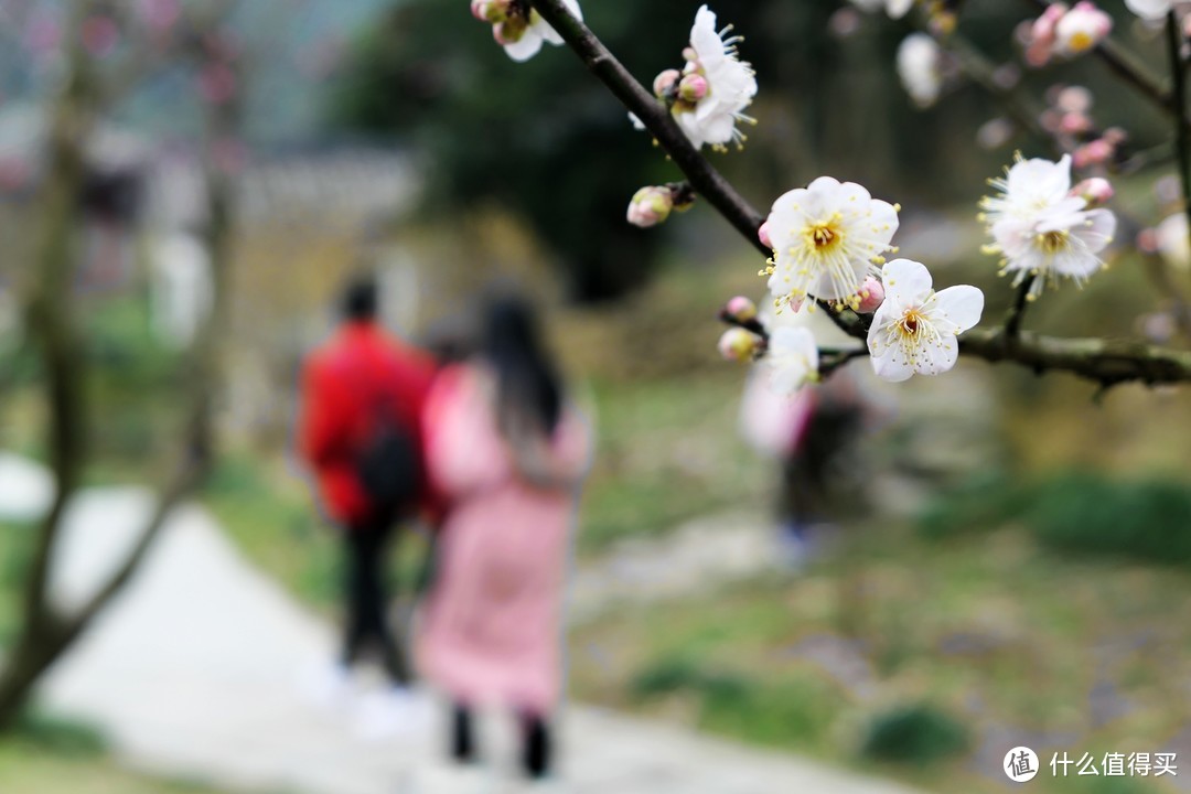 九峰山 网岙景区-宁波北仑