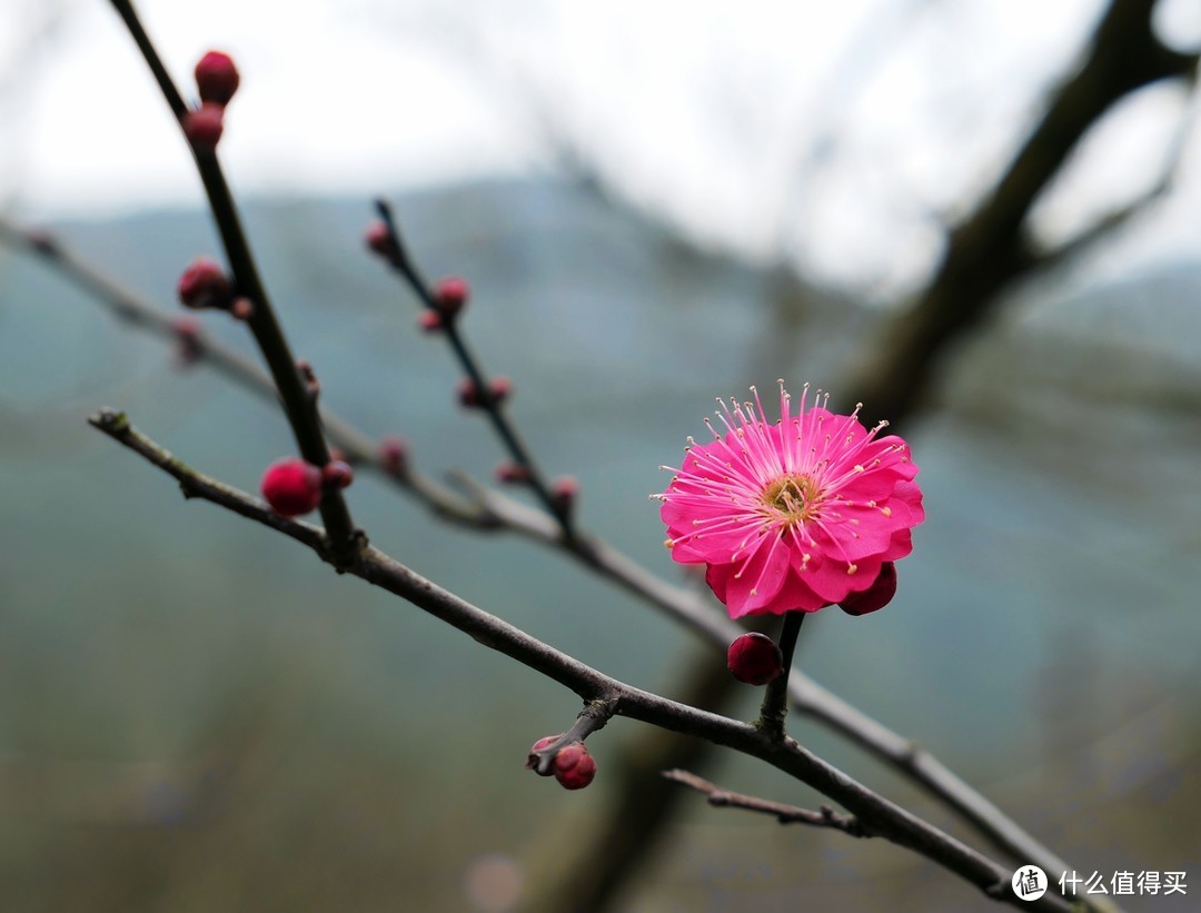 九峰山 网岙景区-宁波北仑