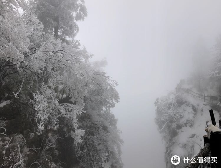 看！胖哒！胖哒！—成都四天三夜自由行记