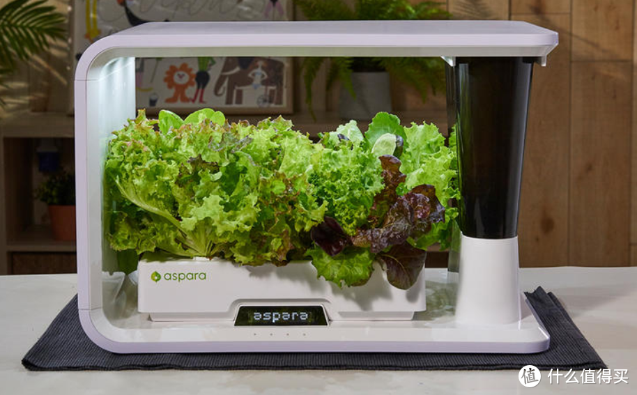 潮酷家电：胶囊种菜机来了，农业小白可在厨房种蔬菜