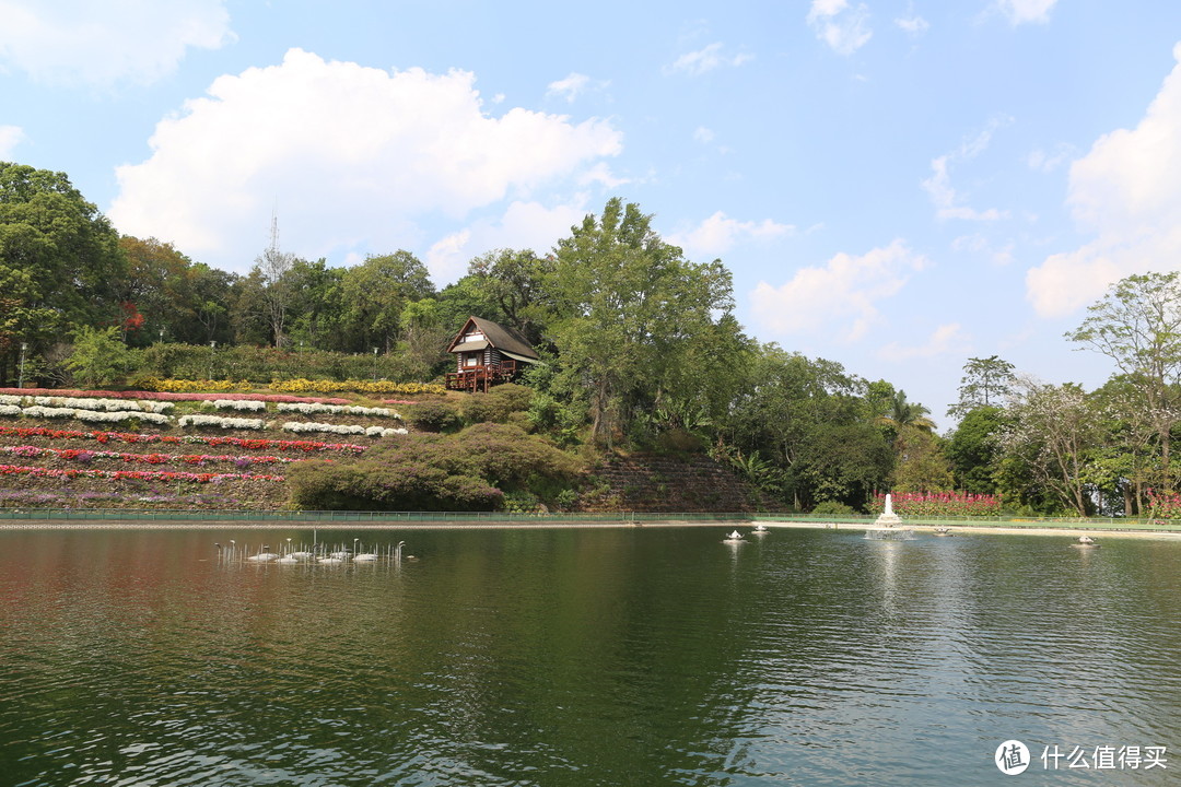 蒲屏皇宫花园的人工湖