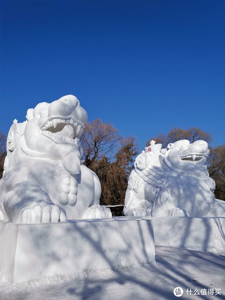 2019年暖冬里的哈尔滨冰雪游