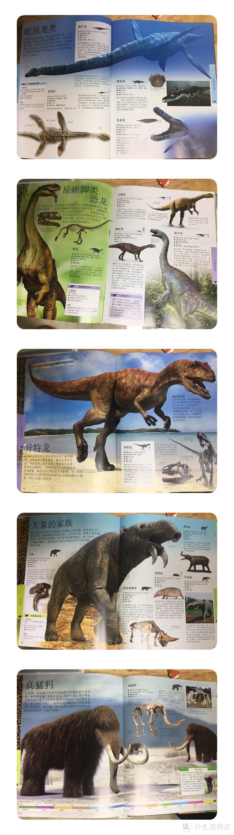 恐龙绘本推荐—家有小恐龙迷必备