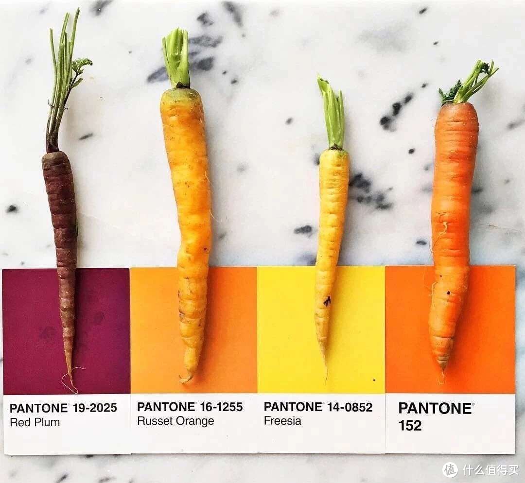 科普知识:食物色与人工色到底差了多少