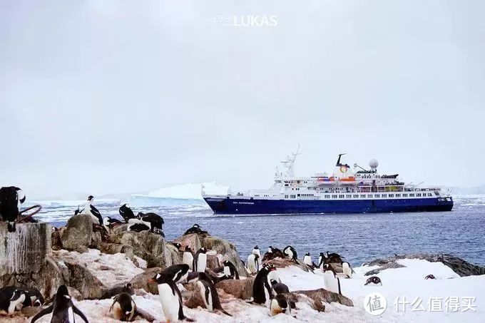 看雪别只知道北海道，南极旅行家带你玩转这个冷门炫酷的冰雪世界！