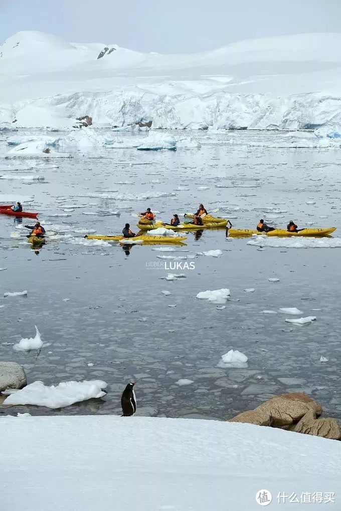 看雪别只知道北海道，南极旅行家带你玩转这个冷门炫酷的冰雪世界！