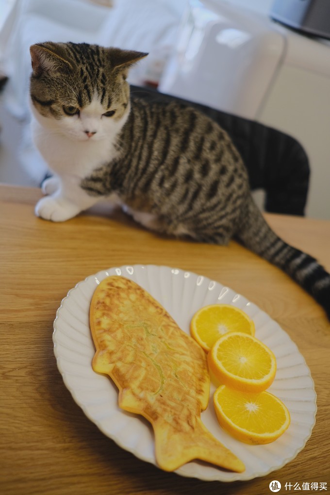 10款快手食谱，承包每一个清晨和午后——Bruno轻食烹饪机使用体验