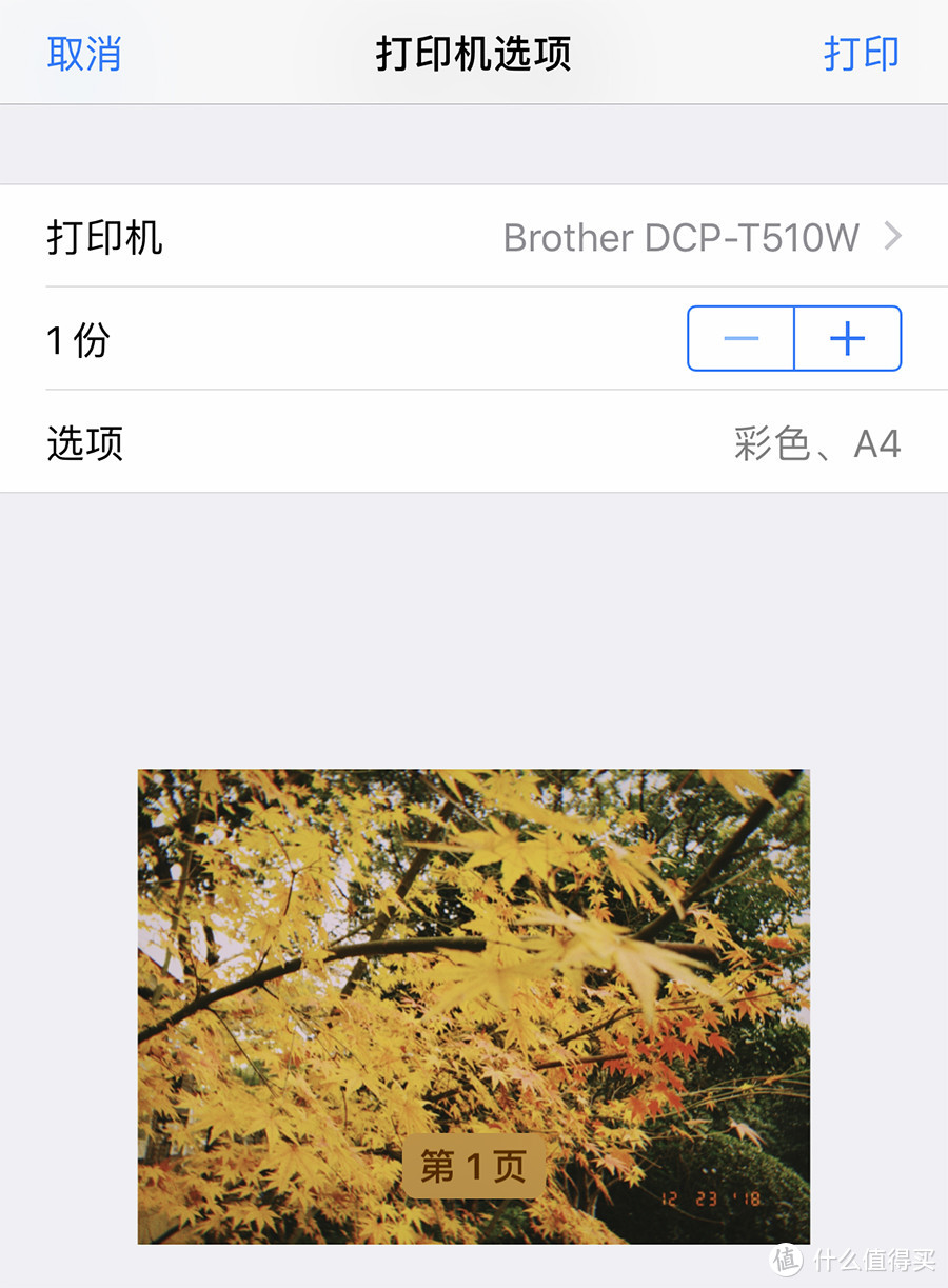 SOHO办公家用两不误 Brother T510W墨仓式一体打印机评测