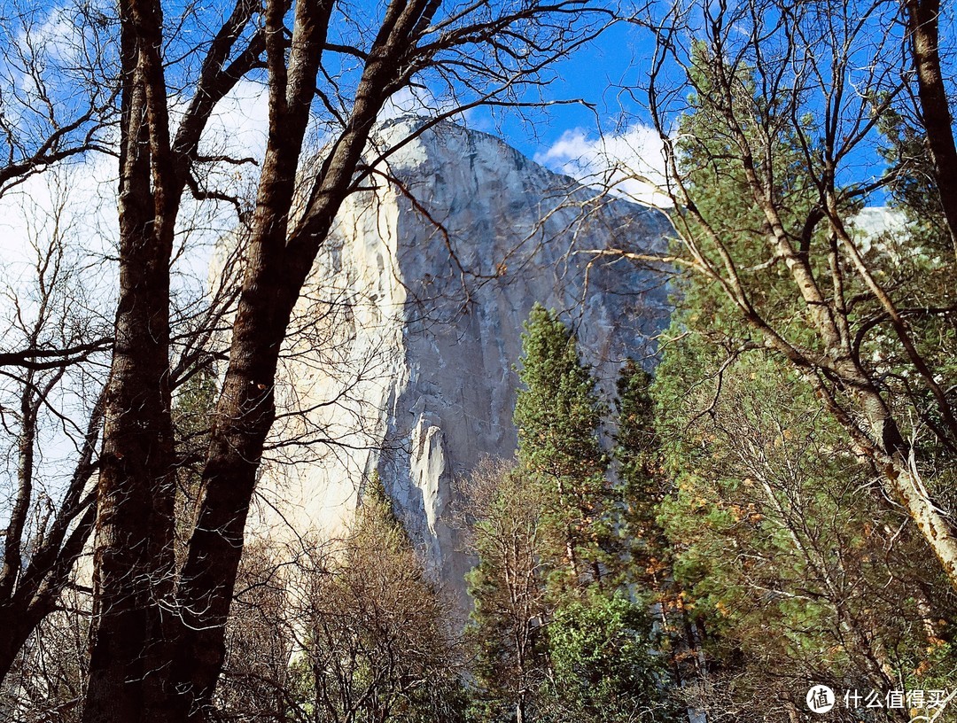 葱郁的针叶林是Yosemite的标配