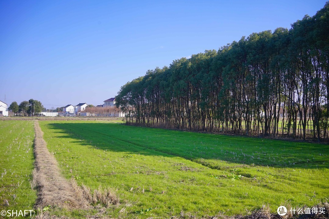 上海青西郊野公园游记