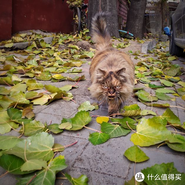 手机摄影五分钟入门--比后期更重要的前期思路