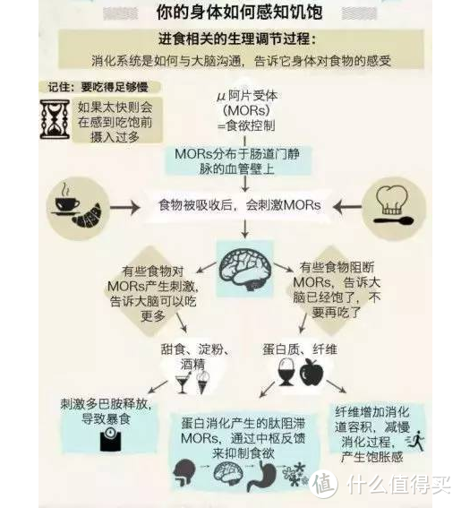 不想每逢佳节胖三斤？这些饮食小窍门教你春节怎么吃不增肥