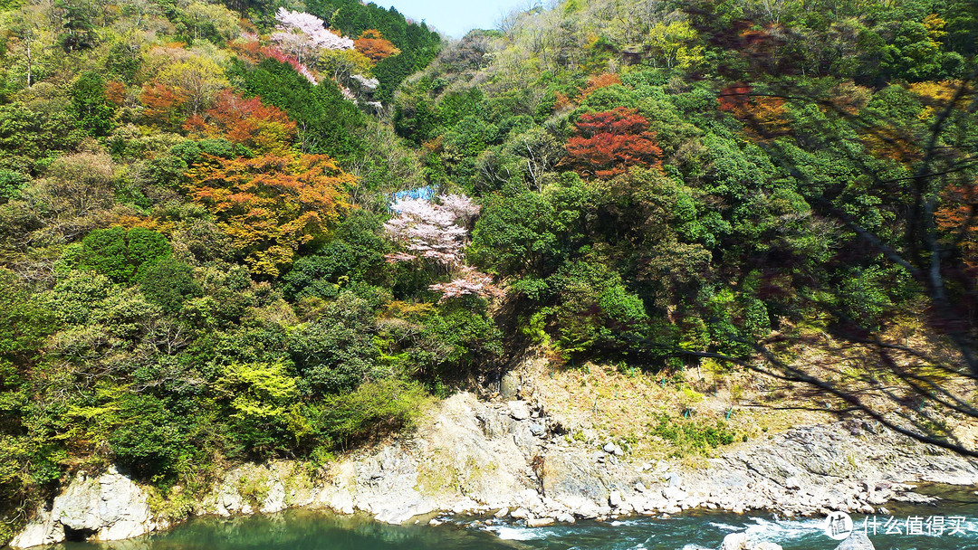 保津川的山水景色