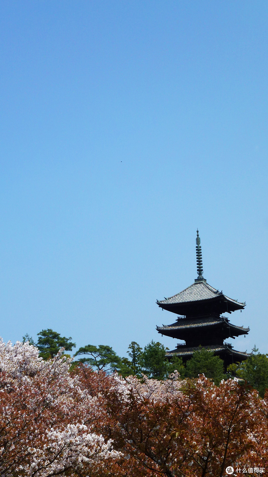 御室仁和寺