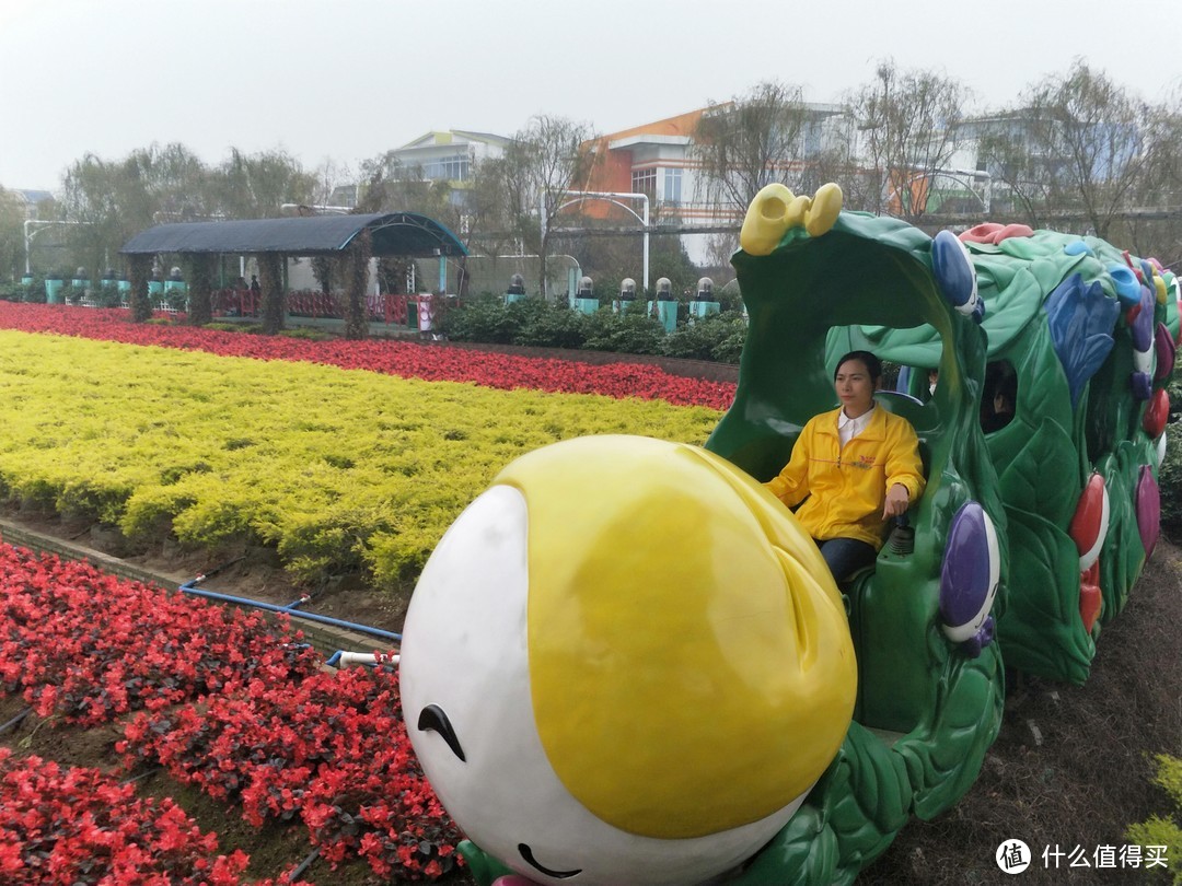 广州百万葵园寻花之旅