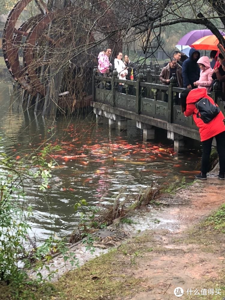 春节周边游：触摸古人的智慧—龙门石窟