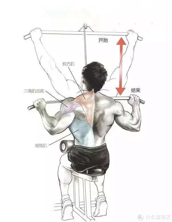 一直以来,引体向上就是健身爱好者公认背部,肩膀,手臂等部位肌肉的