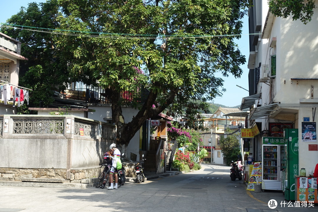 鹏城村入口周围一派悠闲的慢生活景色