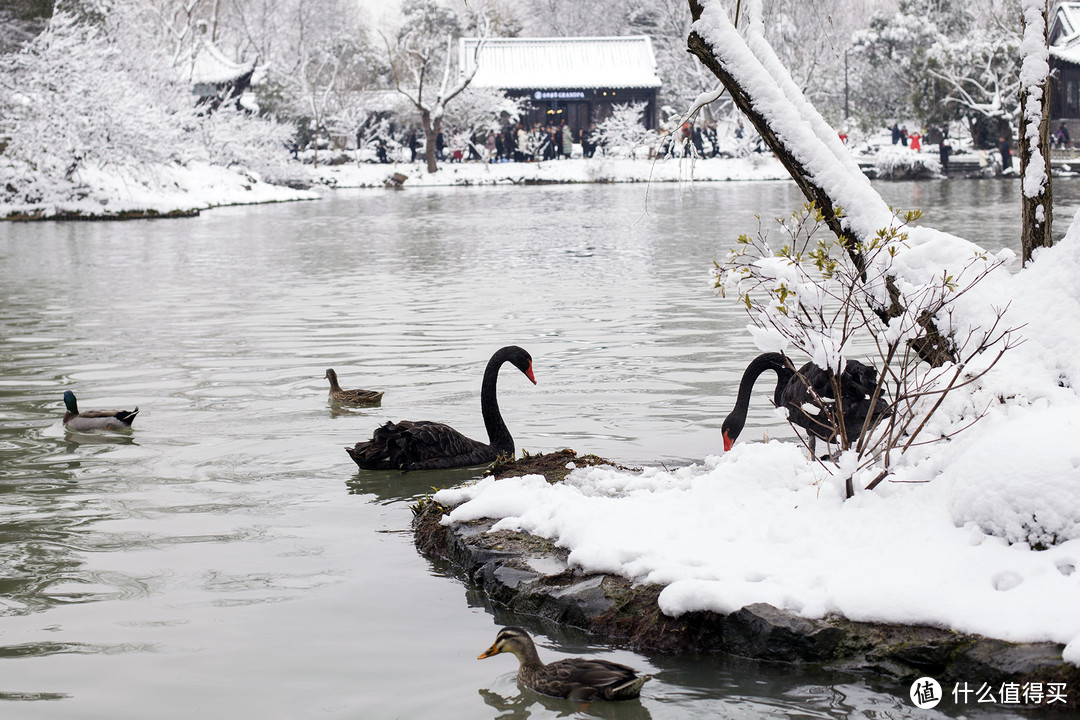 瘦西湖雪景