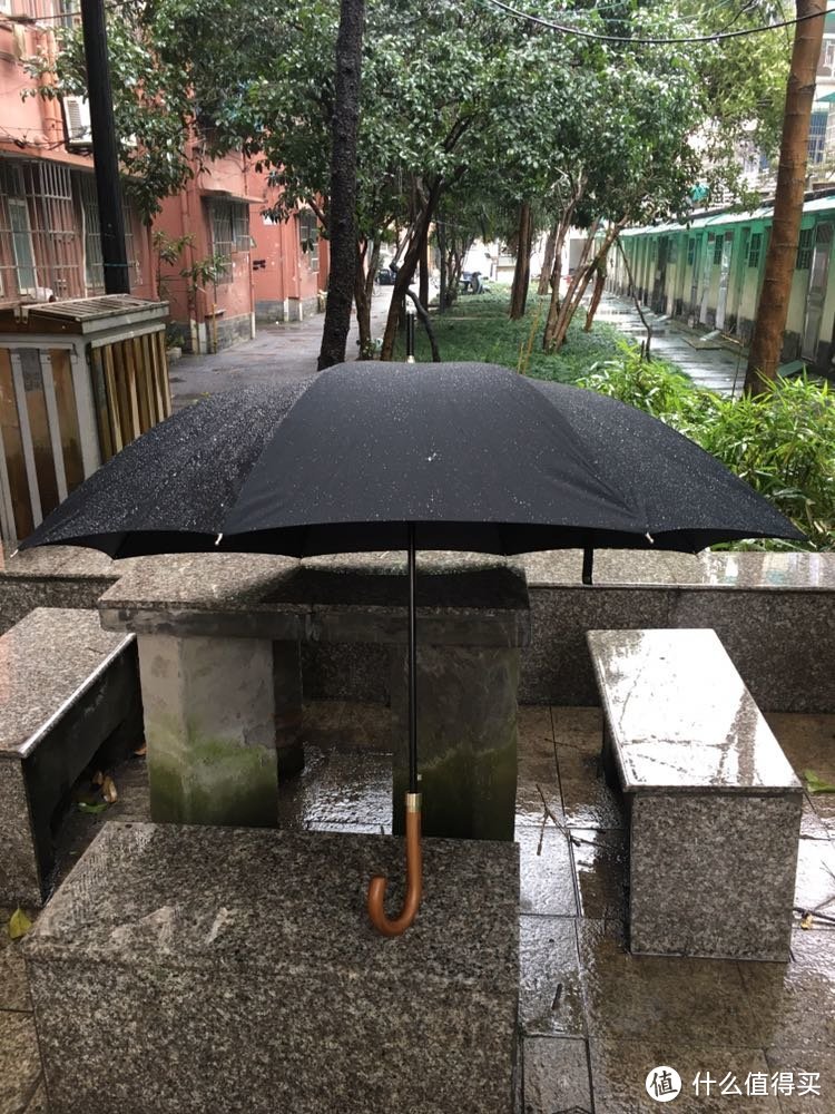 德国Bluffton暴风雨伞用后体验