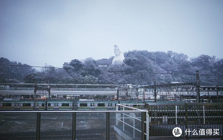 春游东京（镰仓，箱根）