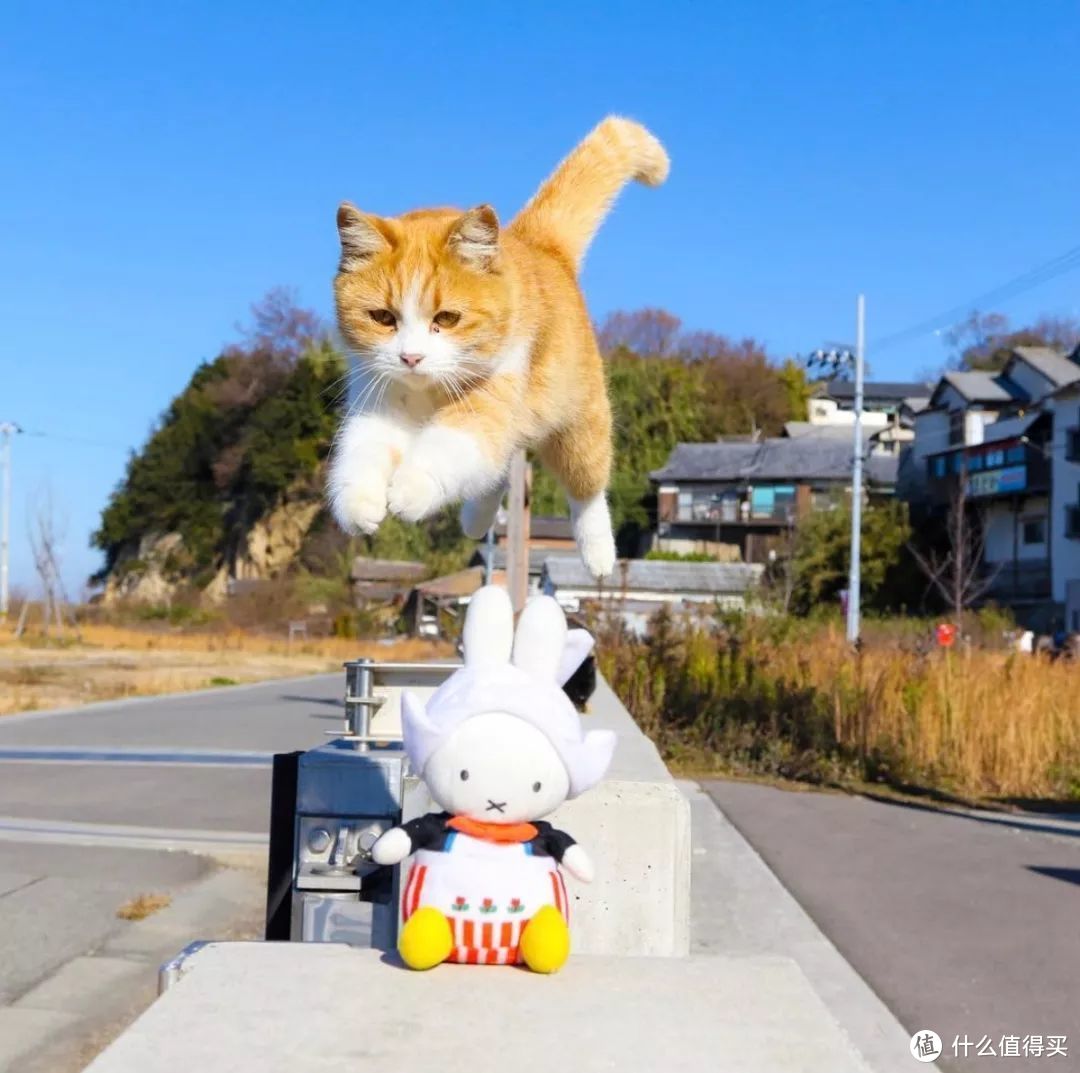 错过今年再等3年，2019濑户内海艺术祭最强攻略看这篇