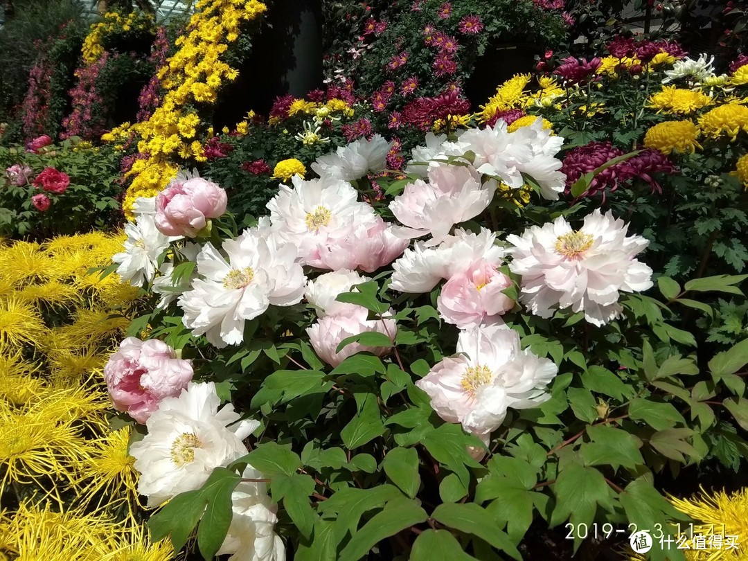 花穹 (Flower Dome)