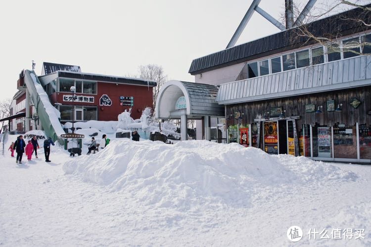 冬季到北海道来看雪