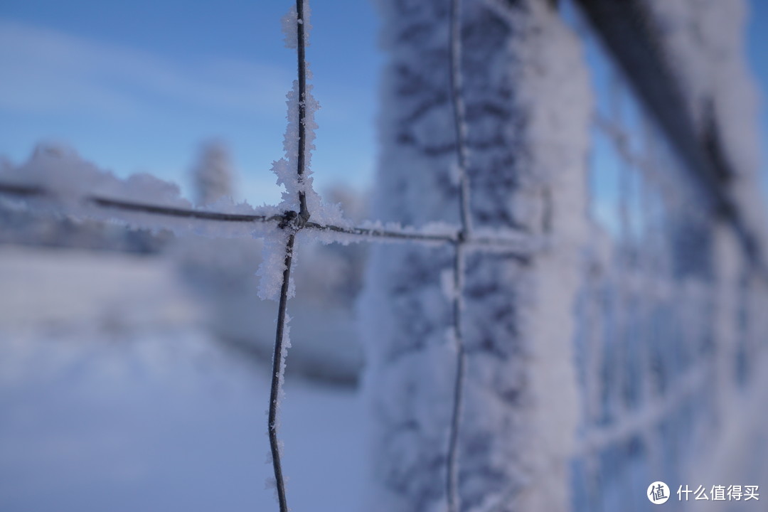 冰天雪地的世界，2个妹子的芬兰春节