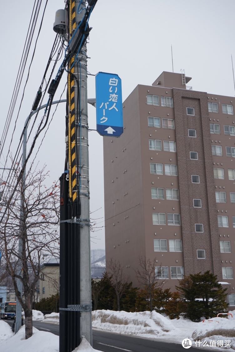 冬季到北海道来看雪