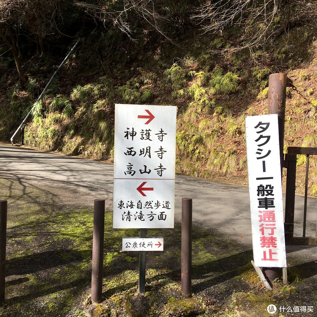 日本京都高雄到清滝以及岚山的徒步体验