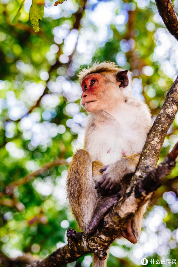 SIGMA 40mm  F 1.4 Art   |     F 2.2  1/2000s  ISO 640